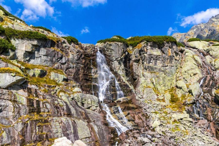 Domcek & Sauna Garden Stará Lesná エクステリア 写真